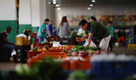 IPCA cai em 0,11% em agosto, diz IBGE