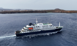 Países buscam rastrear passageiros de navio de cruzeiro afetado por hantavírus