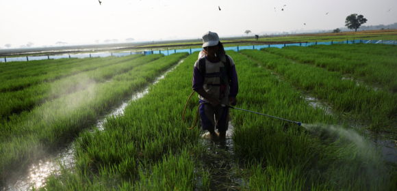Condições do El Niño estão presentes e devem se intensificar, diz CPC