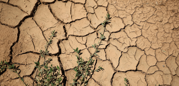 Mudanças climáticas agravam a seca em toda a Europa, afirmam cientistas